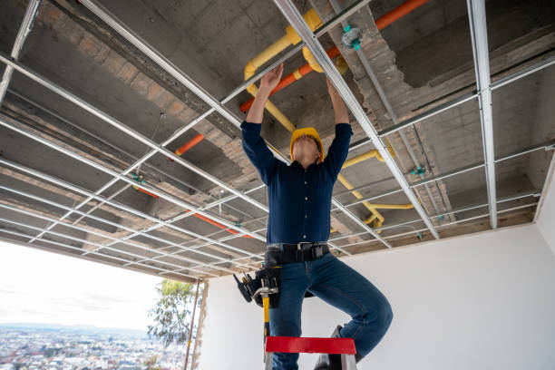 Best Plumbing Inspection Services  in Ironton, MO