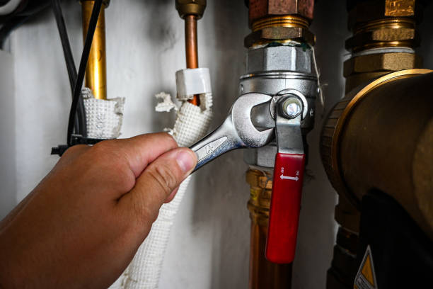 Best Toilet Repair Services  in Ironton, MO